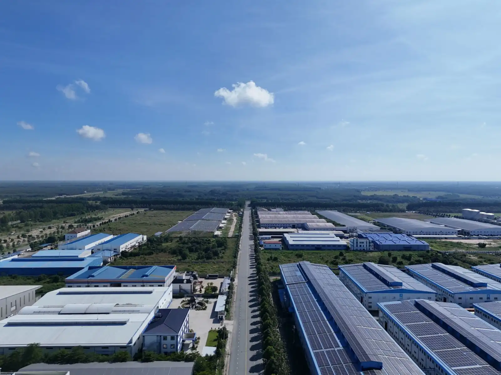 2024年企业管理咨询行业趋势与战略规划新思路