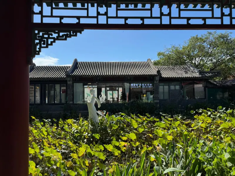 战略规划与运营优化：企业效率提升的四大关键步骤