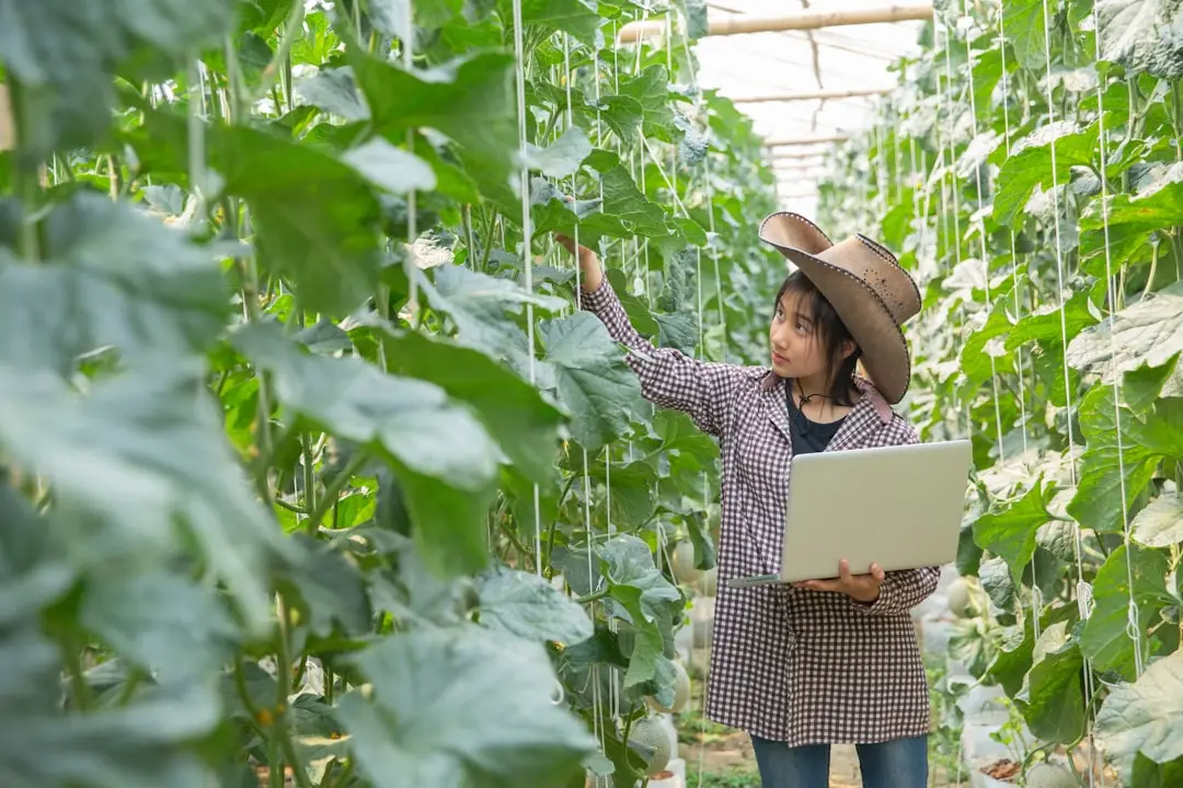 组织变革管理的五大核心阶段及实施要点