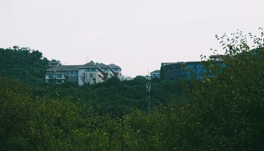 企业管理咨询与战略规划服务内容详解及应用场景分析
